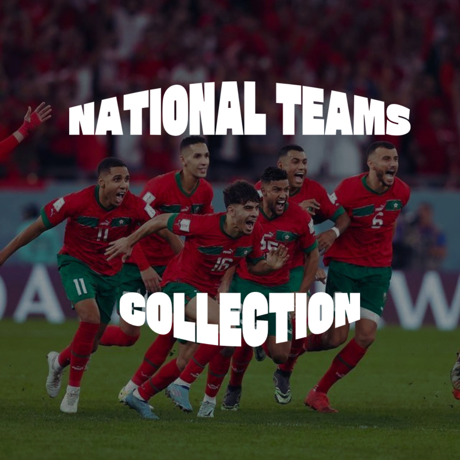 NATIONAL TEAMS