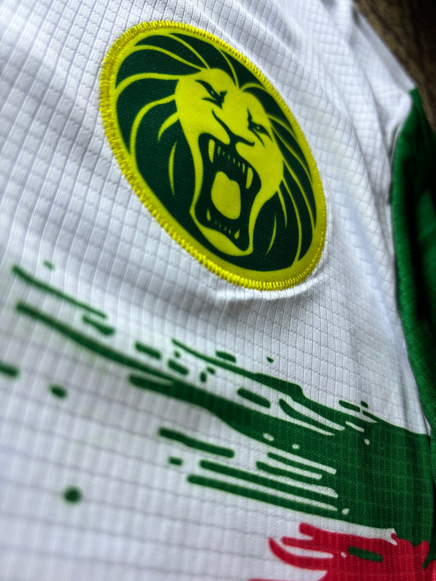 Maillot Cameroun Domicile 2024/25 – Édition « Monument des Lions »